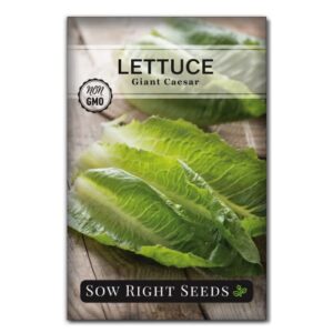 sow right seeds – giant caesar lettuce seeds for planting – non-gmo open pollinated heirloom packet with instructions to grow lettuce from seed – indoors or outdoors – great gardening gift