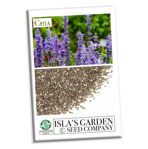 Chia Seeds for Planting, 1000+ Seeds Per Packet,Herb/Flower, (Isla's Garden Seeds), Non GMO & Heirloom Seeds, Scientific Name: Salvia hispanica, Great Gift