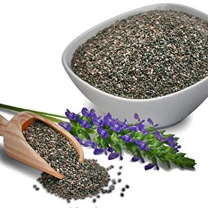 Chia Seeds for Planting, 1000+ Seeds Per Packet,Herb/Flower, (Isla's Garden Seeds), Non GMO & Heirloom Seeds, Scientific Name: Salvia hispanica, Great Gift