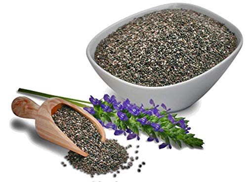 Chia Seeds for Planting, 1000+ Seeds Per Packet,Herb/Flower, (Isla's Garden Seeds), Non GMO & Heirloom Seeds, Scientific Name: Salvia hispanica, Great Gift