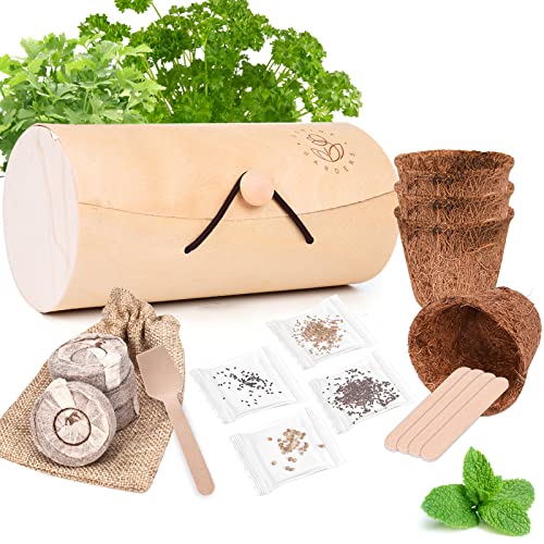 Indoor Herb Garden Starter Kit, Ushine 4 Herb Seeds Grow Kit Basil, Cilantro, Parsley, Mint, DIY Kitchen Plant Grow Kit for Growing Herb Seeds Perfect Gardening Gifts