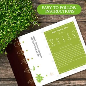 Indoor Herb Garden Starter Kit, Ushine 4 Herb Seeds Grow Kit Basil, Cilantro, Parsley, Mint, DIY Kitchen Plant Grow Kit for Growing Herb Seeds Perfect Gardening Gifts