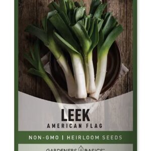 Leek Seeds for Planting Heirloom - American Flag, Non-GMO Vegetable Variety- 1 Gram Seeds Great for Summer Gardens by Gardeners Basics