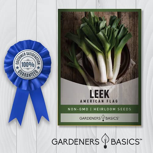 Leek Seeds for Planting Heirloom - American Flag, Non-GMO Vegetable Variety- 1 Gram Seeds Great for Summer Gardens by Gardeners Basics