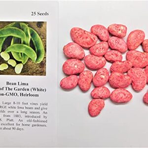 David's Garden Seeds Bean Lima Pole King of The Garden 6789 (White) 25 Non-GMO, Heirloom Seeds