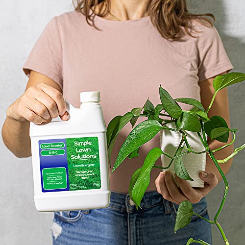 Commercial Grade Lawn Energizer Iron Nitrogen Micronutrient Booster - Liquid Turf Concentrated Fertilizer - Lawn, Garden, and Indoor Plants - Any Grass Type - Simple Lawn Solutions- 1 Quart