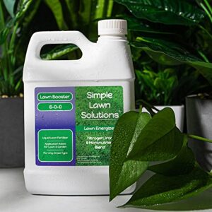 Commercial Grade Lawn Energizer Iron Nitrogen Micronutrient Booster - Liquid Turf Concentrated Fertilizer - Lawn, Garden, and Indoor Plants - Any Grass Type - Simple Lawn Solutions- 1 Quart