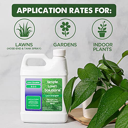 Commercial Grade Lawn Energizer Iron Nitrogen Micronutrient Booster - Liquid Turf Concentrated Fertilizer - Lawn, Garden, and Indoor Plants - Any Grass Type - Simple Lawn Solutions- 1 Quart