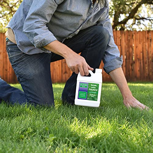 Commercial Grade Lawn Energizer Iron Nitrogen Micronutrient Booster - Liquid Turf Concentrated Fertilizer - Lawn, Garden, and Indoor Plants - Any Grass Type - Simple Lawn Solutions- 1 Quart