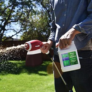 Commercial Grade Lawn Energizer Iron Nitrogen Micronutrient Booster - Liquid Turf Concentrated Fertilizer - Lawn, Garden, and Indoor Plants - Any Grass Type - Simple Lawn Solutions- 1 Quart