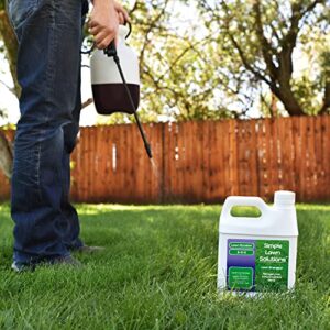 Commercial Grade Lawn Energizer Iron Nitrogen Micronutrient Booster - Liquid Turf Concentrated Fertilizer - Lawn, Garden, and Indoor Plants - Any Grass Type - Simple Lawn Solutions- 1 Quart