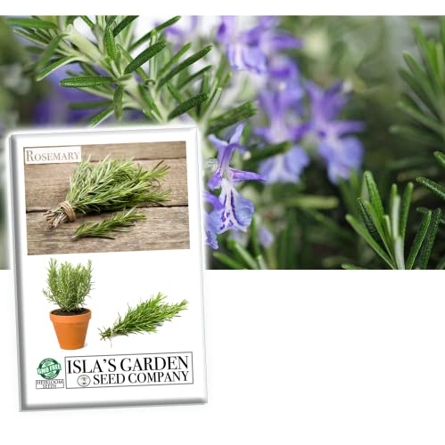 Rosemary Seeds for Planting, 100+ Heirloom Seeds Per Packet, (Isla's Garden Seeds), Non GMO Seeds, Fragrant Herb, Botanical Name: Salvia rosmarinus, Great Home Garden Gift