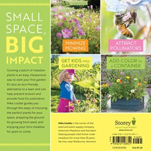 Mini Meadows: Grow a Little Patch of Colorful Flowers Anywhere around Your Yard