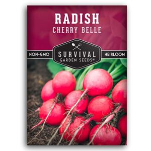 survival garden seeds – cherry belle radish seed for planting – packet with instructions to plant and grow quick-growing delicious red radishes in your home vegetable garden – non-gmo heirloom variety