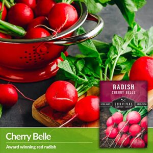 Survival Garden Seeds - Cherry Belle Radish Seed for Planting - Packet with Instructions to Plant and Grow Quick-Growing Delicious Red Radishes in Your Home Vegetable Garden - Non-GMO Heirloom Variety