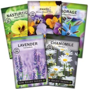 sow right seeds – edible flower seed collection for planting – individual packets nasturtium alaska, pansy, lavender, german chamomile, and borage, non-gmo heirloom seed to grow a tasty flower garden