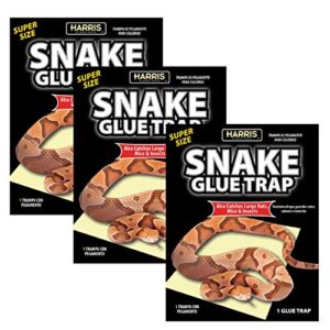 harris supersized snake glue trap – extra strength, multipurpose (3-pack)