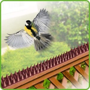 De-Bird Bundle Includes: Defender Spikes 12 pk & Heavy Duty Bird Netting to Protect Plants - Keep Away Pigeon, Woodpecker & Cats from Your Garden and Crops