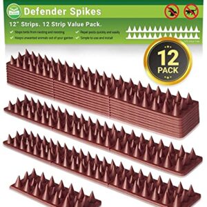 De-Bird Bundle Includes: Defender Spikes 12 pk & Heavy Duty Bird Netting to Protect Plants - Keep Away Pigeon, Woodpecker & Cats from Your Garden and Crops
