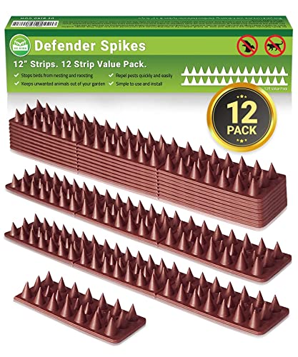 De-Bird Bundle Includes: Defender Spikes 12 pk & Heavy Duty Bird Netting to Protect Plants - Keep Away Pigeon, Woodpecker & Cats from Your Garden and Crops