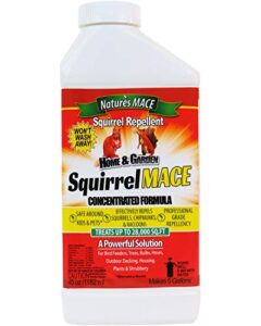 nature’s mace squirrel repellent 40oz concentrate/covers 28,000 sq ft/keep squirrels & chipmunks from destroying trees, planters and bird feeders/safe to use around children & plants