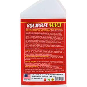 Nature's MACE Squirrel Repellent 40oz Concentrate/Covers 28,000 Sq Ft/Keep Squirrels & Chipmunks from Destroying Trees, Planters and Bird Feeders/Safe to use Around Children & Plants