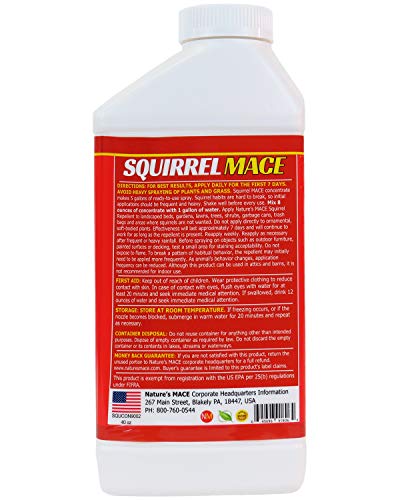 Nature's MACE Squirrel Repellent 40oz Concentrate/Covers 28,000 Sq Ft/Keep Squirrels & Chipmunks from Destroying Trees, Planters and Bird Feeders/Safe to use Around Children & Plants