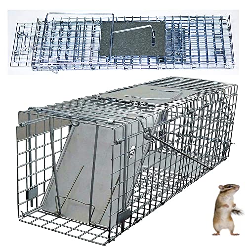 Large Humane Rat Trap Humane Catch and Release Indoor / Outdoor, 24inch Humane Mouse Traps, Reusable Garden Rat Rabbit Trap Mouse Cage Trap for Squirrel, Raccoon, Mole, Gopher, with Handle Protector