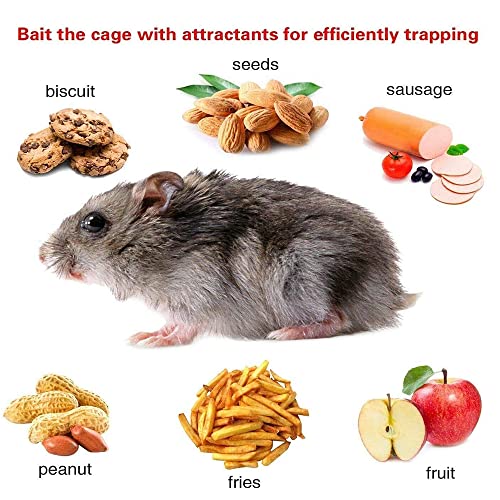 Large Humane Rat Trap Humane Catch and Release Indoor / Outdoor, 24inch Humane Mouse Traps, Reusable Garden Rat Rabbit Trap Mouse Cage Trap for Squirrel, Raccoon, Mole, Gopher, with Handle Protector