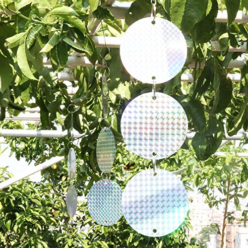 Bird Scare Devices,Woodpecker Outdoor Reflective Discs-Reflector Products Keep Birds Away from Flying into Windows