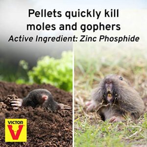 Victor M6006 Outdoor Mole & Gopher Poison Peanuts - Mole and Gopher Bait Killer