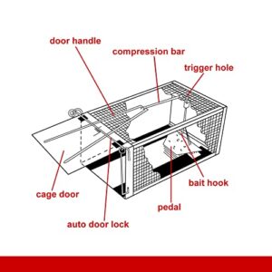 Humane Animal Trap, ALLRoad Rat Trap Chipmunk Catcher Work for Indoor and Outdoor, Catch and Release Live Cage for Mouse, Small Squirrel