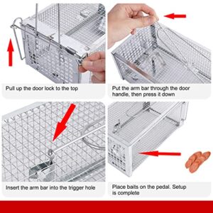 Humane Animal Trap, ALLRoad Rat Trap Chipmunk Catcher Work for Indoor and Outdoor, Catch and Release Live Cage for Mouse, Small Squirrel