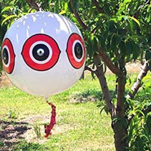 Bird-X Scare-Eye® Bird Repellent Predator Eyes Balloon, White