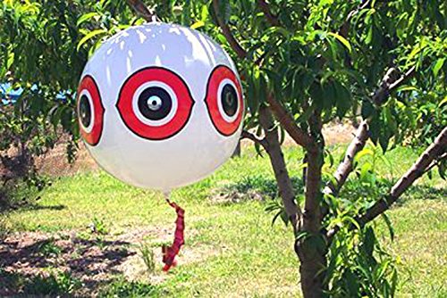 Bird-X Scare-Eye® Bird Repellent Predator Eyes Balloon, White
