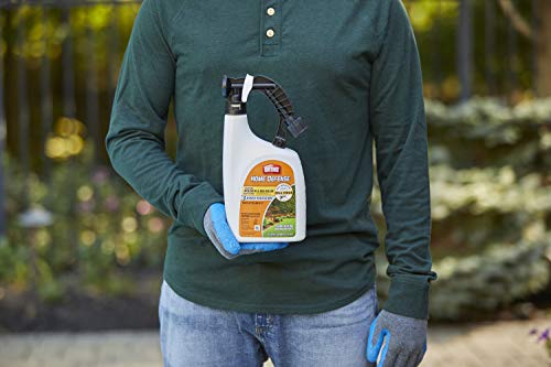 Ortho Home Defense Backyard Mosquito and Bug Killer Ready-To-Spray - Kill Mosquitoes That May Transmit the Zika Virus, 3 Month Protection, 32 oz. (2-Pack)