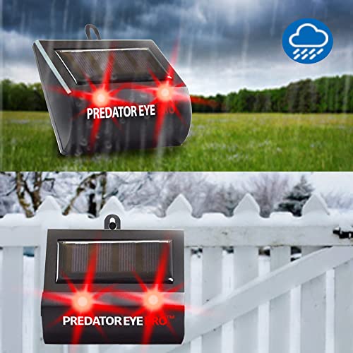 Predator Eye PRO - Aspectek - 4600sq ft Coverage w/Kick Stand Solar Powered Predator Light Deterrent Light Night Time Animal Control - 2 Pack