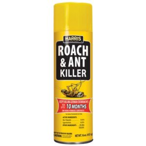 harris 10-month roach and ant killer, 16oz aerosol spray