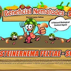 NaturesGoodGuys - Beneficial Nematodes Steinernema Feltiae - SF (5 Million)