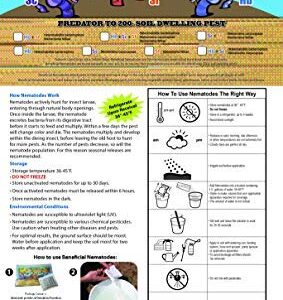 NaturesGoodGuys - Beneficial Nematodes Steinernema Feltiae - SF (5 Million)