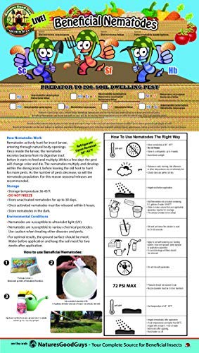 NaturesGoodGuys - Beneficial Nematodes Steinernema Feltiae - SF (5 Million)