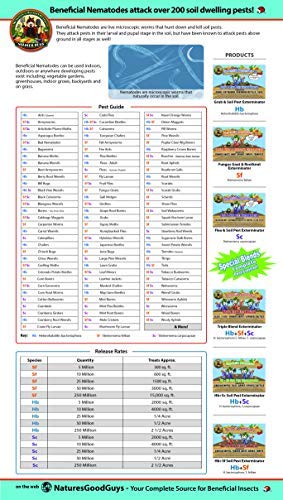 NaturesGoodGuys - Beneficial Nematodes Steinernema Feltiae - SF (5 Million)