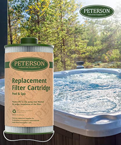 GALVANOX Replacement Filter Cartridge Compatible with Watkins 303279, PFF42TC-P4/Filbur FC2402/Unicel Compatible with Free Flow Hot Tub & More (2 Pack) 40 SQ FT