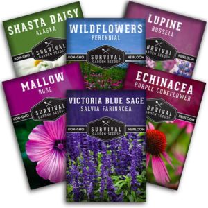 survival garden seeds perennial flowers collection – shasta daisy, echinacea, russell lupine, rose mallow, blue sage, and perennial wildflower mix – non-gmo heirloom seeds for planting and growing