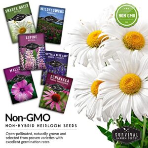 Survival Garden Seeds Perennial Flowers Collection - Shasta Daisy, Echinacea, Russell Lupine, Rose Mallow, Blue Sage, and Perennial Wildflower Mix - Non-GMO Heirloom Seeds for Planting and Growing