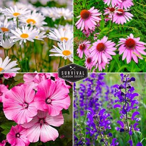 Survival Garden Seeds Perennial Flowers Collection - Shasta Daisy, Echinacea, Russell Lupine, Rose Mallow, Blue Sage, and Perennial Wildflower Mix - Non-GMO Heirloom Seeds for Planting and Growing