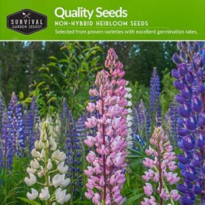 Survival Garden Seeds Perennial Flowers Collection - Shasta Daisy, Echinacea, Russell Lupine, Rose Mallow, Blue Sage, and Perennial Wildflower Mix - Non-GMO Heirloom Seeds for Planting and Growing