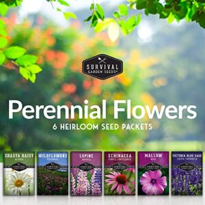 Survival Garden Seeds Perennial Flowers Collection - Shasta Daisy, Echinacea, Russell Lupine, Rose Mallow, Blue Sage, and Perennial Wildflower Mix - Non-GMO Heirloom Seeds for Planting and Growing