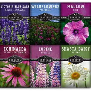 Survival Garden Seeds Perennial Flowers Collection - Shasta Daisy, Echinacea, Russell Lupine, Rose Mallow, Blue Sage, and Perennial Wildflower Mix - Non-GMO Heirloom Seeds for Planting and Growing