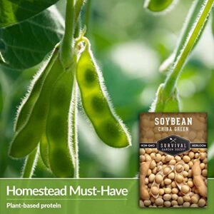 Survival Garden Seeds - Chiba Green Soybean Seed for Planting - 3 Packs with Instructions to Plant and Grow Protein-Rich Edamame Pods in Your Home Vegetable Garden - Non-GMO Heirloom Variety